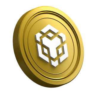 Pagina guida per il trader principiante con moneta cripto Binance BNB